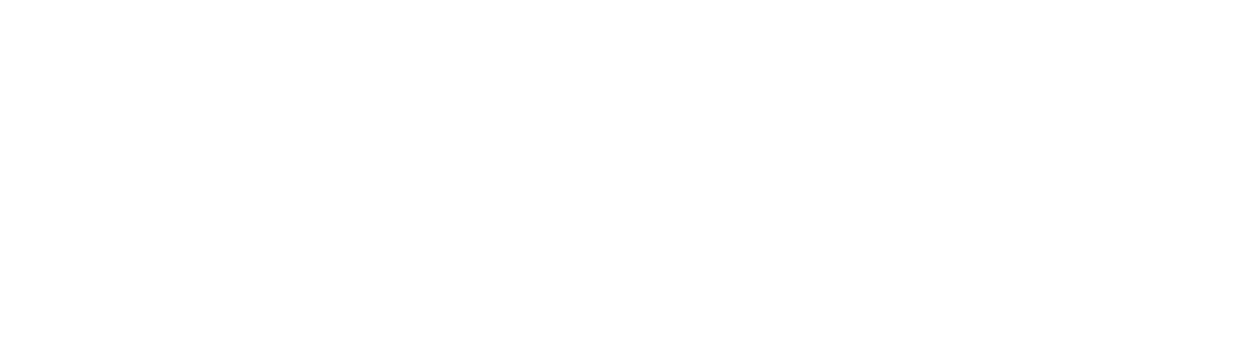 A Senior Journey